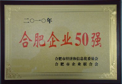 合肥企業(yè)50強