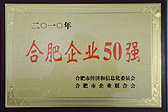 雄峰被評為合肥企業(yè)50強(qiáng)