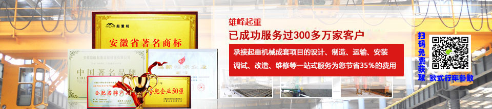 雄峰起重安徽省最大的專業(yè)起重機(jī)生產(chǎn)企業(yè)