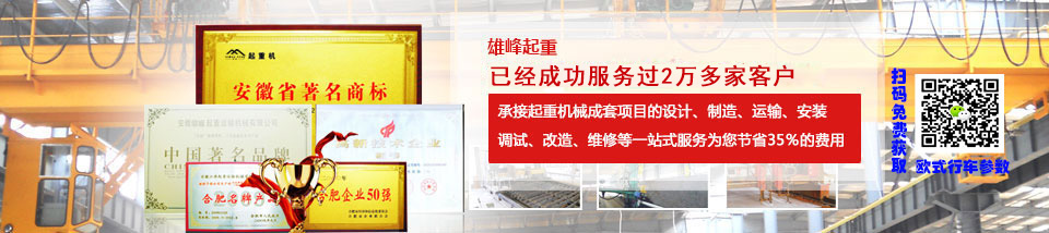 雄峰起重安徽省最大的專業(yè)起重機(jī)生產(chǎn)企業(yè)